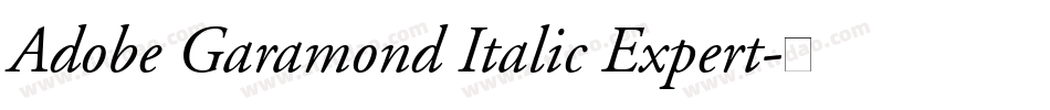Adobe Garamond Italic Expert字体转换